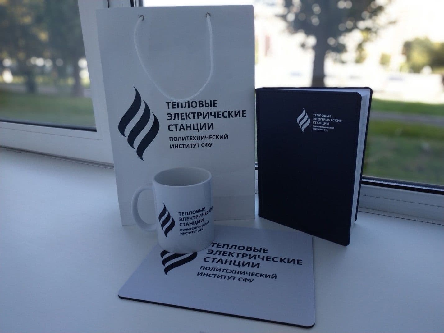 Профориентационное мероприятие на кафедре "Тепловые электрические станции" СФУ