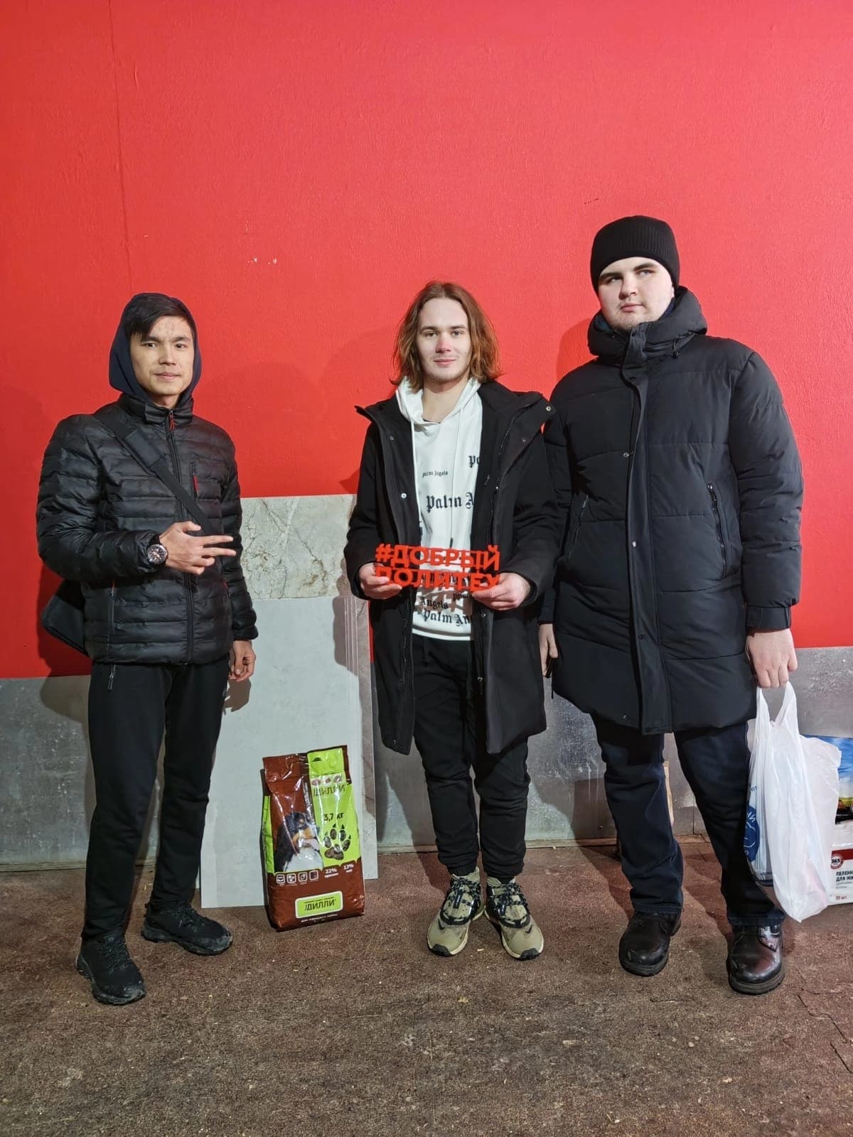 Как помочь бездомным животным: список необходимых вещей для приюта