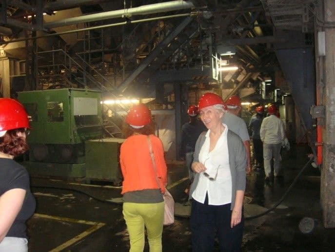 Выпускники кафедры ИЭиБЖД поступили в аспирантуру СФУ под руководством профессора Т.А. Кулагиной
