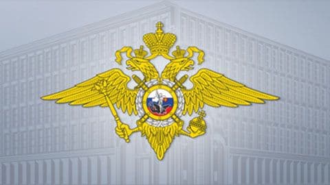 Онлайн-встреча руководителей МВД России «Красноярское» с учащимися СФУ